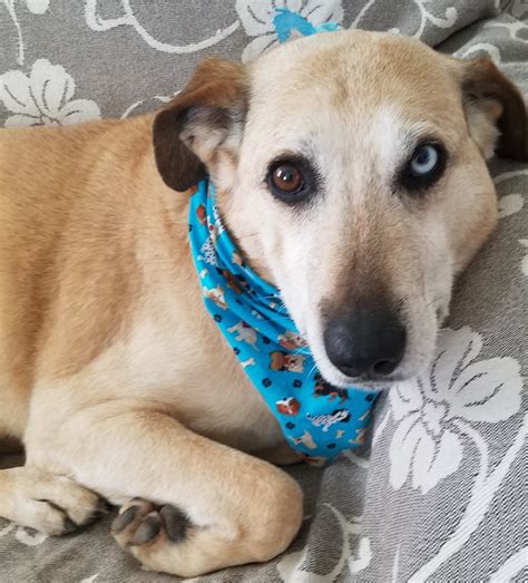 A Day In The Life Of Psychic Logan: Free Time Hobbies, Relaxing