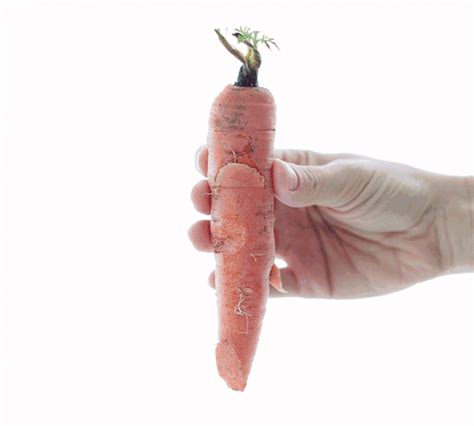 Carrot  Find On Er