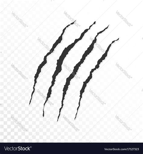 Claws Scratches On Transparent Background Vector Image