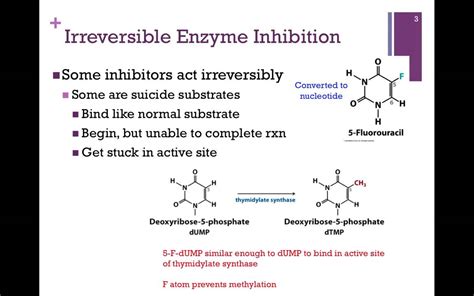 048 irreversible enzyme inhibition youtube