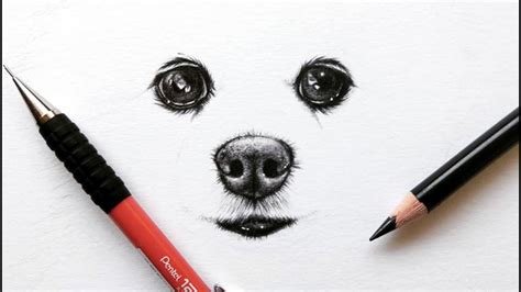How to draw a cute dachshhund dog. How to draw a Pomeranian dog - Eyes and snout | Leontine ...