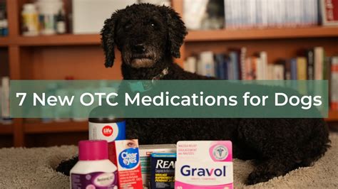 7 New Otc Medications For Dogs Youtube