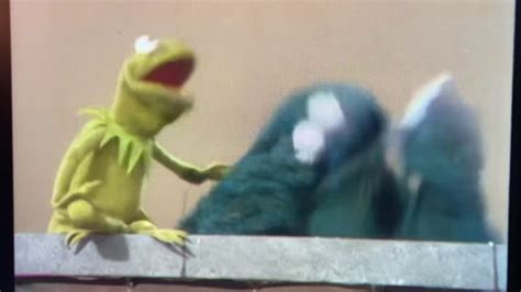 Kermit Yells At Cookie Monster Youtube