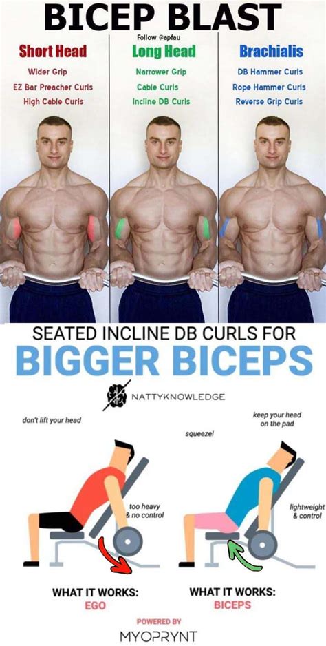 Pin On Arms And Biceps Triceps Workout