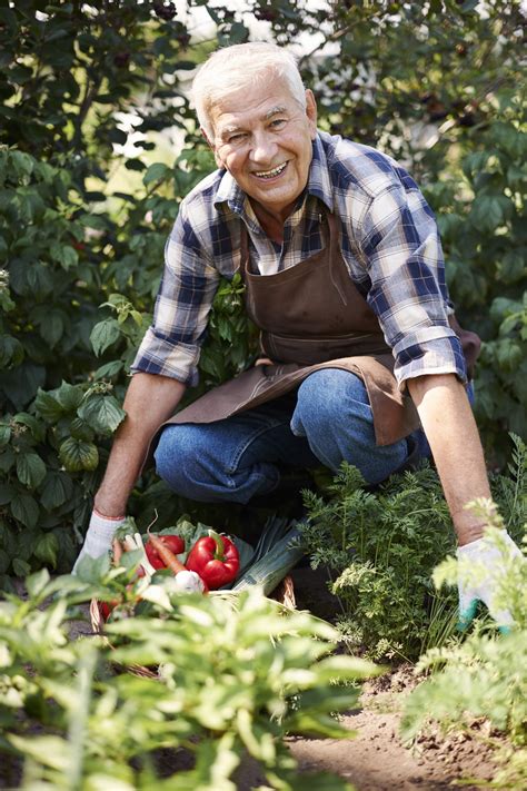 Gardener near me | Local gardeners | Local gardening sevice