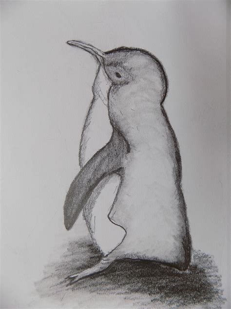 Drawing Of Penguin Pencil Sketch Graphite Drawing Original Etsy