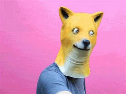 Deal Doge Sunglasses Gifs Giphy Animated Funny