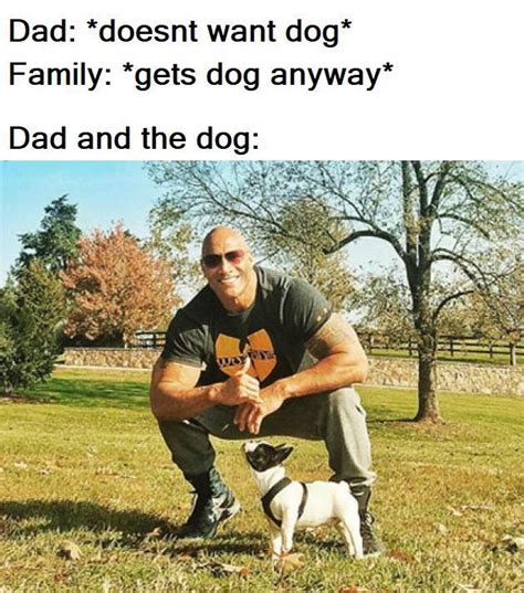 Dad And The Dog Know Your Meme