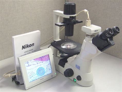 Nikon Eclipse Ts100 F Inverted Microscope