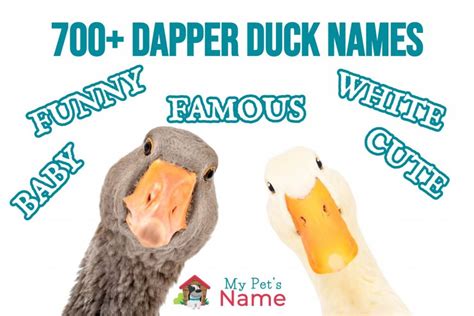 Duck Names 700 Dapper Names For All Ducks My Pets Name