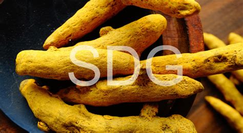 The best brands in the industry are those that will spend enough time, money, and effort to improve basic formulas and use advanced techniques to there are several highly reputable brands in the fitness industry that produce turmeric supplements of the best quality. Turmeric Finger - SDG Logistics Park Limited