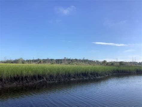 North Florida Land Trust Has Joined The South Atlantic Salt Marsh