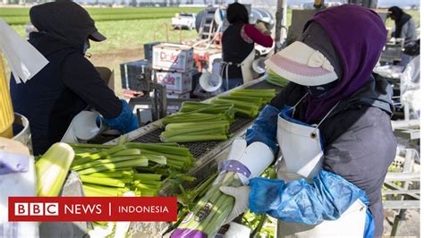 Dunia Sesudah Pandemi Covid 19 Akankah Lebih Berkeadilan Bbc News