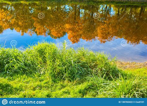 Autumn Trees With Golden Leaves Reflected In The Clear Water Of The