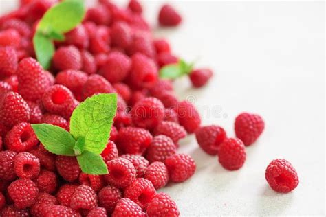 Fresh Organic Raspberries With Mint Leaves Fruit Background With Copy