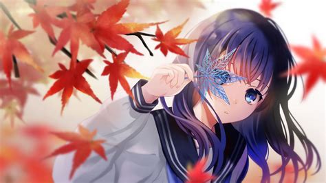Wallpaper Girl Maple Leaves Anime Hd Picture Image