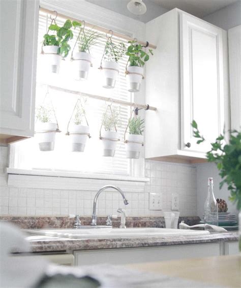 Best indoor herb garden for a windowsill: Creative DIY Herb Gardens for Any Space