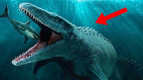 Most Terrifying Prehistoric Sea Creatures Youtube