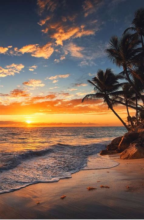 The Sun Is Setting Over The Ocean With Palm Trees In The Foreground And