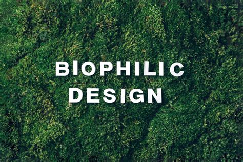 Biophilic Designs For The Home 6 Tips For A Beautiful Home Zesty Things