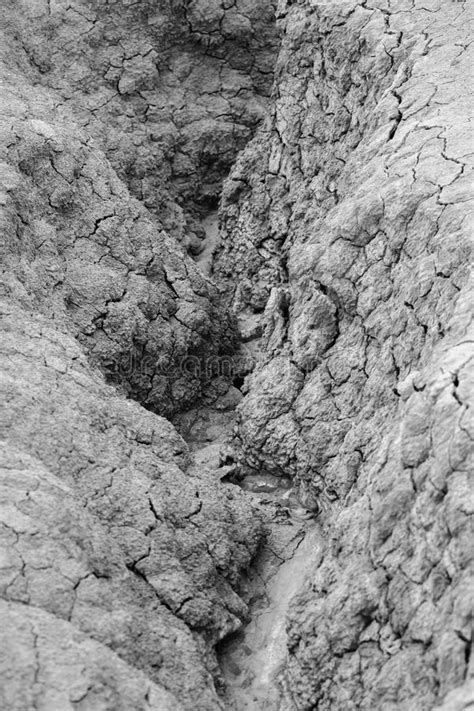 Black And White Vertical Close Up With Dried Ground Natural Dry Stock