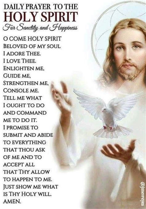 Pin By Connie Guillory On Catholic Novenas And Prayers Holy Spirit