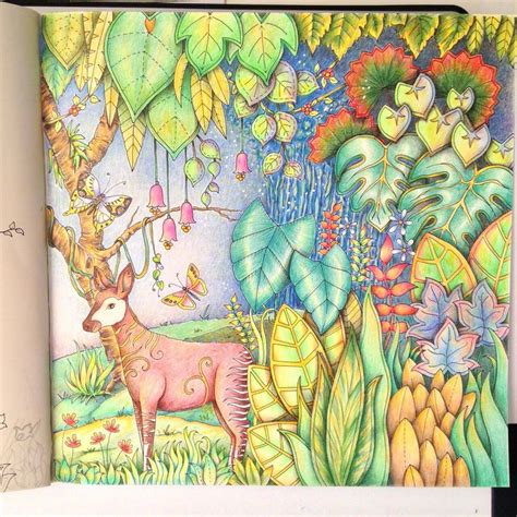 Pin By Feniksa On Colouring Book Magical Jungle Johanna Basford