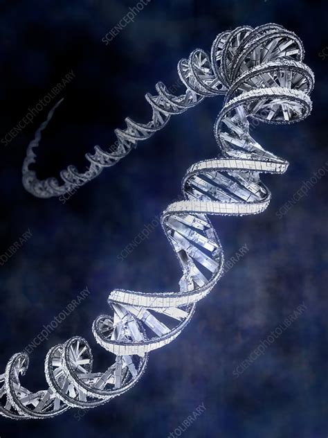 Genetic Engineering Conceptual Illustration Stock Image C0372508