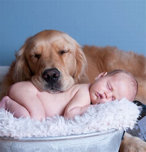 20 Adorable Photos Of Kids And Their Dogs