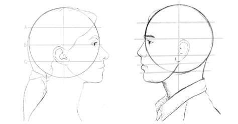 Easy Steps To An Accurate Side Profile Drawing Artsydee Drawing