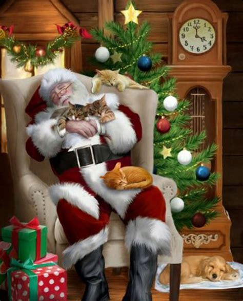 Lots Of Fur Kitties Snuggled On Santas Lap For A Long Winters Nap