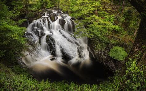 Wallpaper Landscape Forest Waterfall Rock Nature Grass River Jungle Stream Rainforest