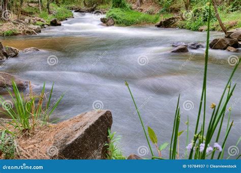 River Or Stream Nature Landscape Stock Image Image Of Landscape
