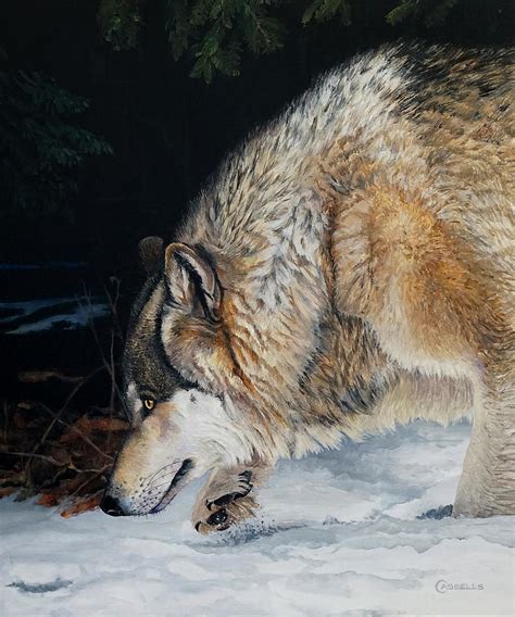 Follow The Tracks Timber Wolf Painting By Laara Cassells Fine Art