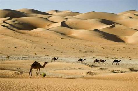 Download a free preview or high quality adobe illustrator ai, eps, pdf and high resolution jpeg versions. 10 Facts about Arabian Desert | Fact File