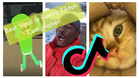 Best Viral And Funny Tiktok Compilation Youtube