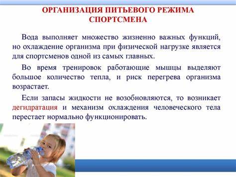 Питание спортсменов диеты Питание и коррекция массы тела спортсменов - презентация онлайн Питание и коррекция массы тела спортсменов - презентация онлайн Питание спортсменов диеты
