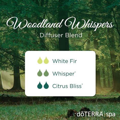 Image Result For Whisper Sandalwood Citrus Bliss Doterra Diffuser