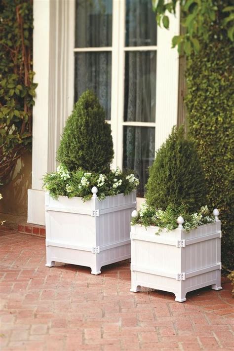 Plant your boxwood shrubs in containers that are fast draining and big. How to grow boxwood topiary - decorating ideas for home ...