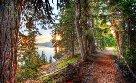 Forest Path Crater Lake Trees Lake Hdr Sunset Hills Nature
