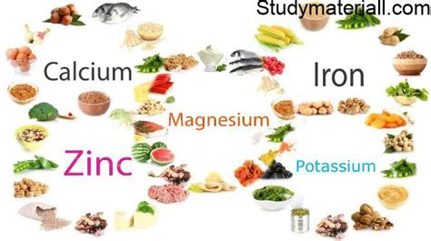 Minerals Functions If Minerals In The Body Importance Of Minerals In
