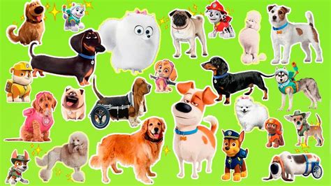 Learn The Cartoon Dogs Breeds Popular Cartoon Dogs And