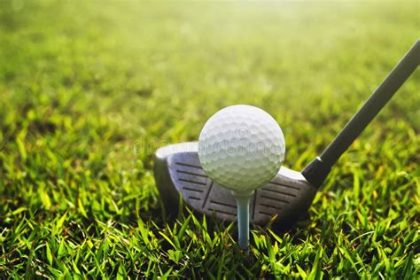 Closeup Golf Club And Golf Ball On Green Grass Stock Image Image Of