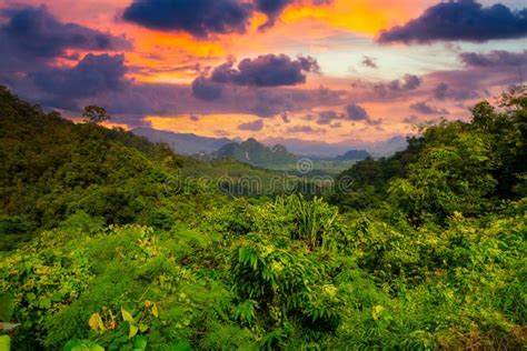 Rainforest Of Khao Sok National Park At Sunset Thailand Stock Image