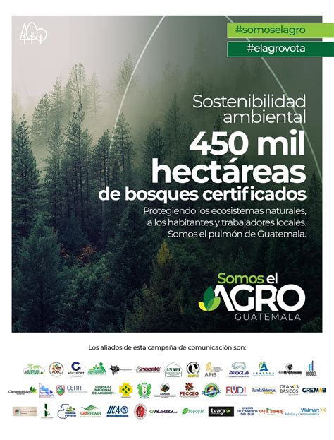 Somos El Agro 450 Mil Hectáreas De Bosques Certificados