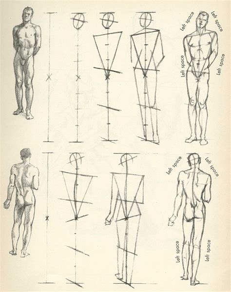 Figure Drawing Arte De Anatomía Humana Dibujos Figura Humana Dibujo