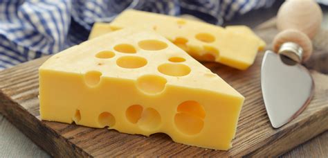 We did not find results for: Maasdam | Local Cheese From Netherlands | TasteAtlas