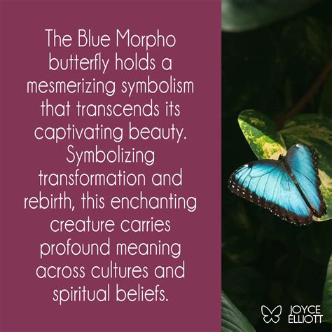 Blue Morpho Butterfly Meaning The Sacred Messenger Of The Rainforest