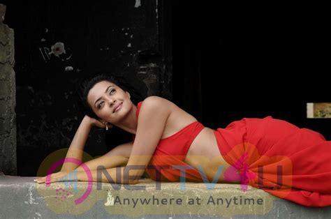 Surveen Chawla Sexy And Hot Images 199992 Galleries And Hd Images