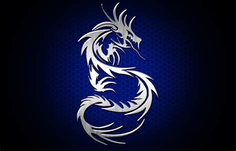Dragon Tribal Blue Silver Wallpapers Hd Desktop And Mobile Backgrounds